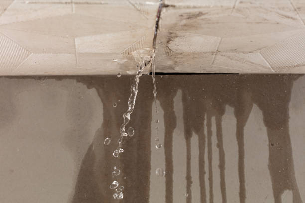 Professional Burst Pipe Cleanup technician working in Zelienople, PA